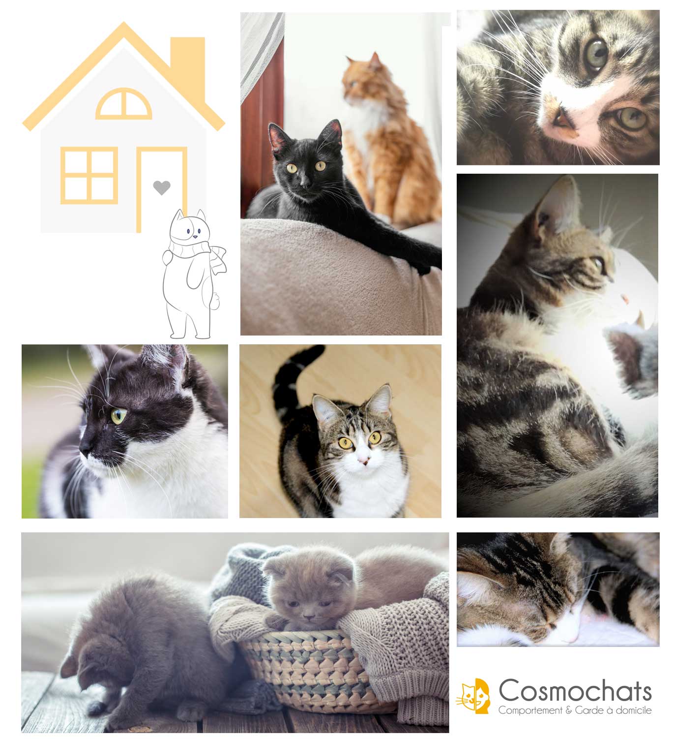 cosmochats-lyon