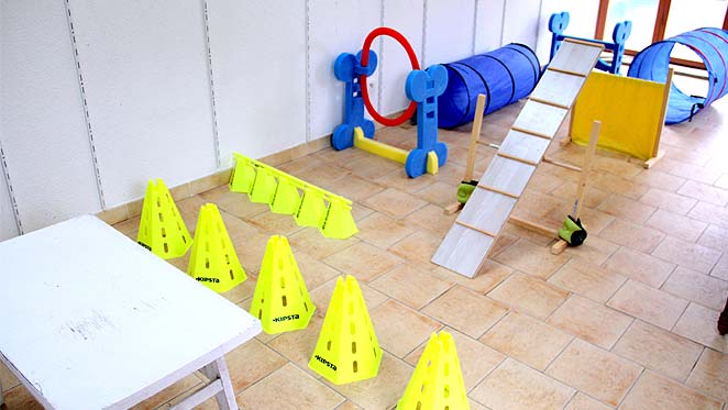 parcours-agility-chats-lyon-rhone parcours-agility-chats-lyon-rhone